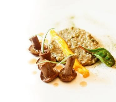 Lauchaschen-Risotto-dickem-Eigelb.jpg